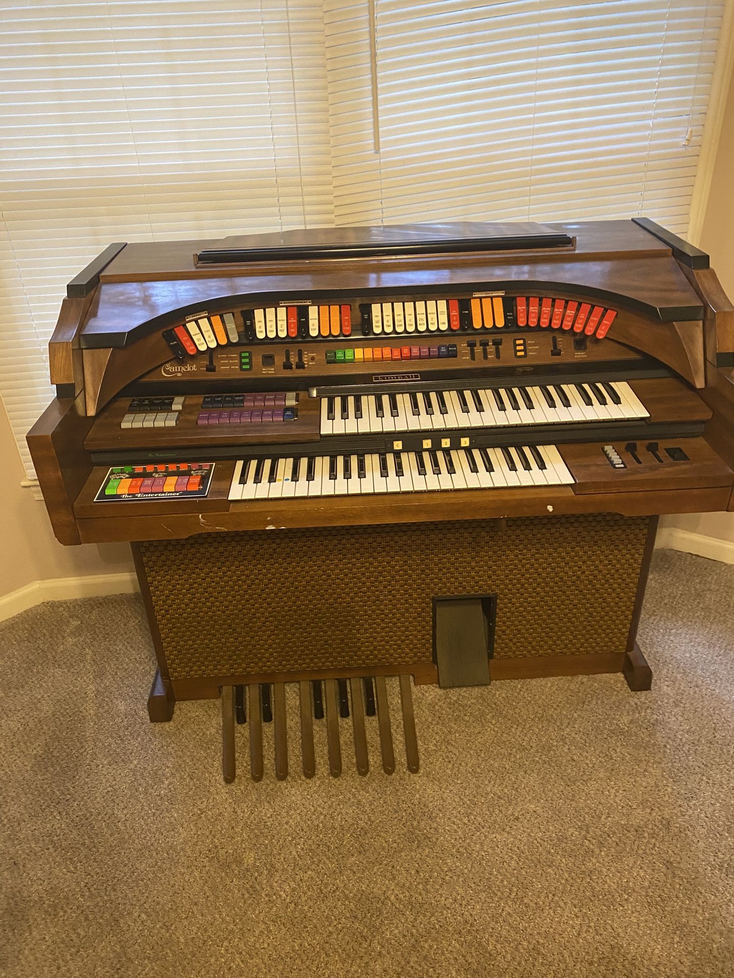 Organ