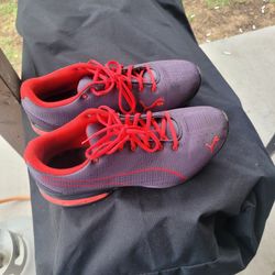 Puma Size 10