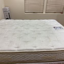 Queen Mattress Sally Brand 