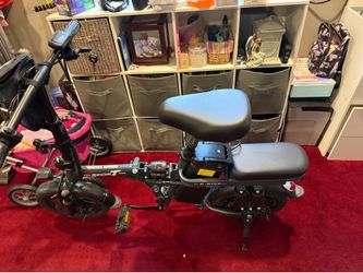 Electric bike