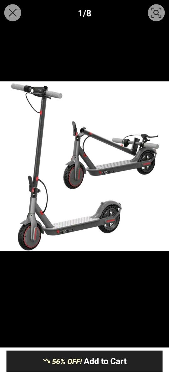 Adult Scooter