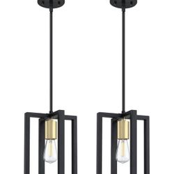 Brand New 2 Pack 1 Light Fixture 