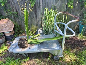 Metal cart with wheels