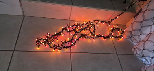 Halloween string lights 15 ft L.