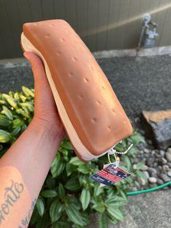 Ice cream sandwich squeeze squishy sunny days