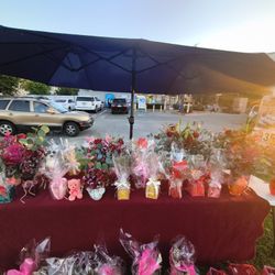 Mariee Valentine Day Pop Up