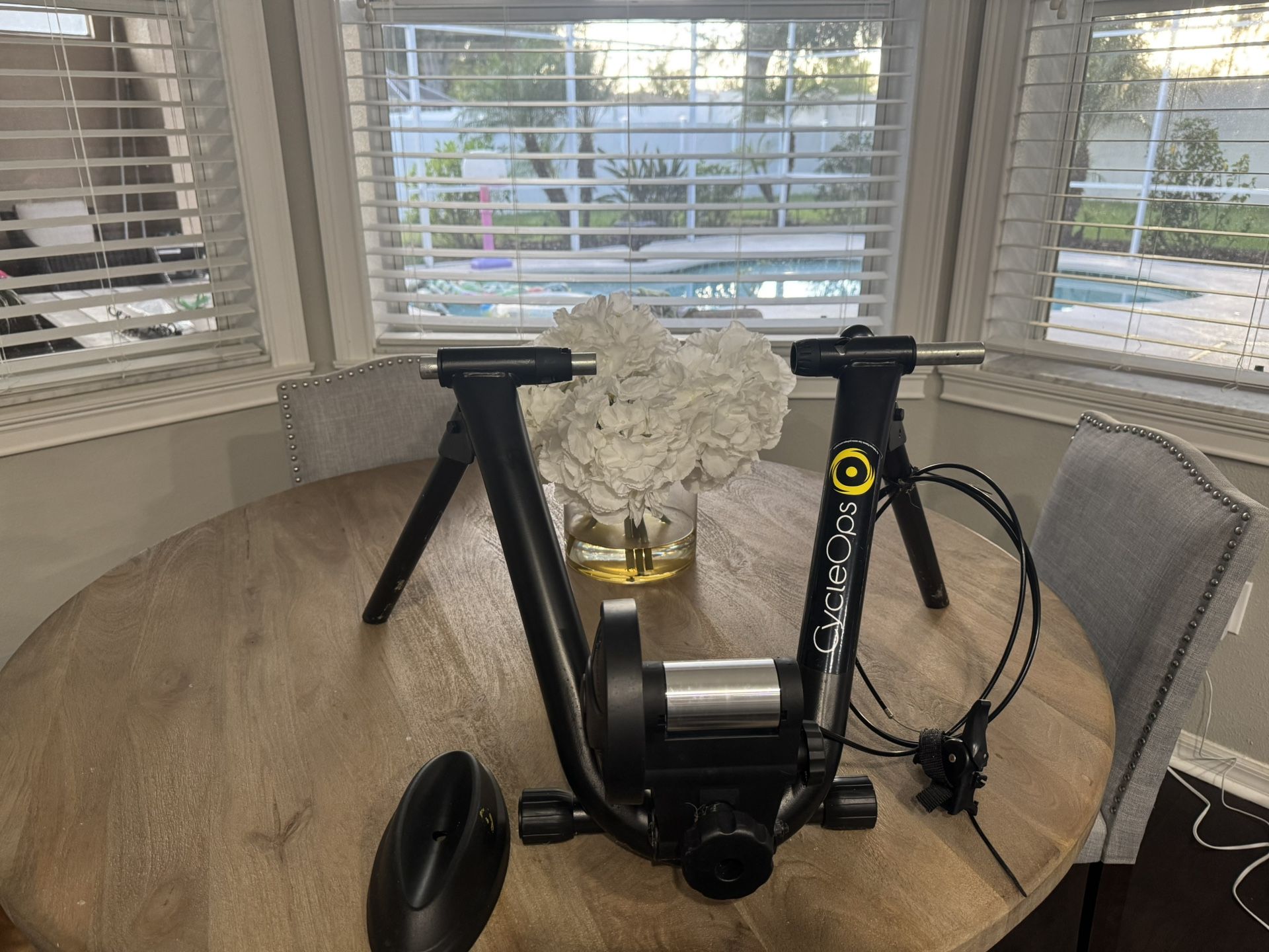 Cycle Ops Bike Trainer