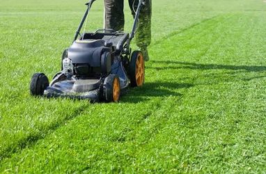 Lawn Mower & Weed Eat