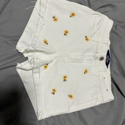 Hollister Shorts 