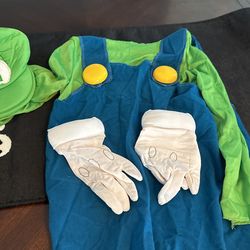 Luigi kids costume