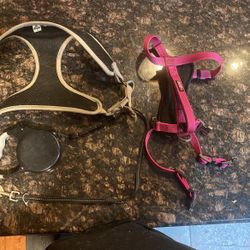 Dog Harnesses And Retractable Lead