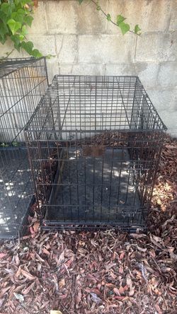 Medium Dog Crate