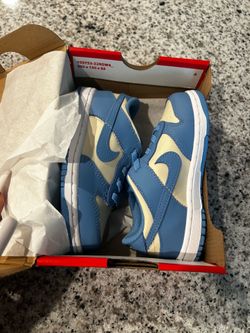 Brand new Nike dunks