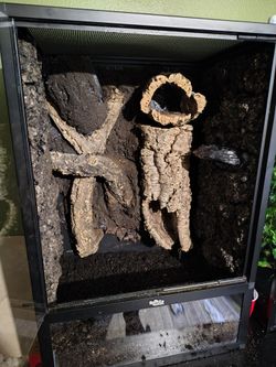Reptile Enclosure 24x18x36 Custom Background
