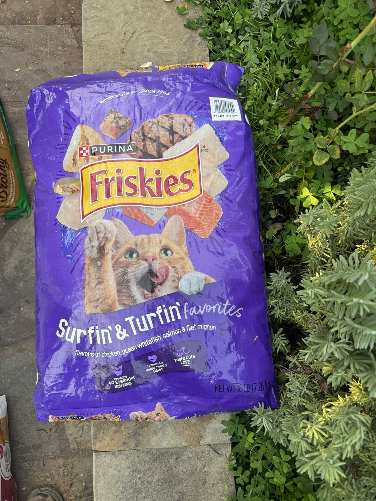 Purina Friskies Cat Food