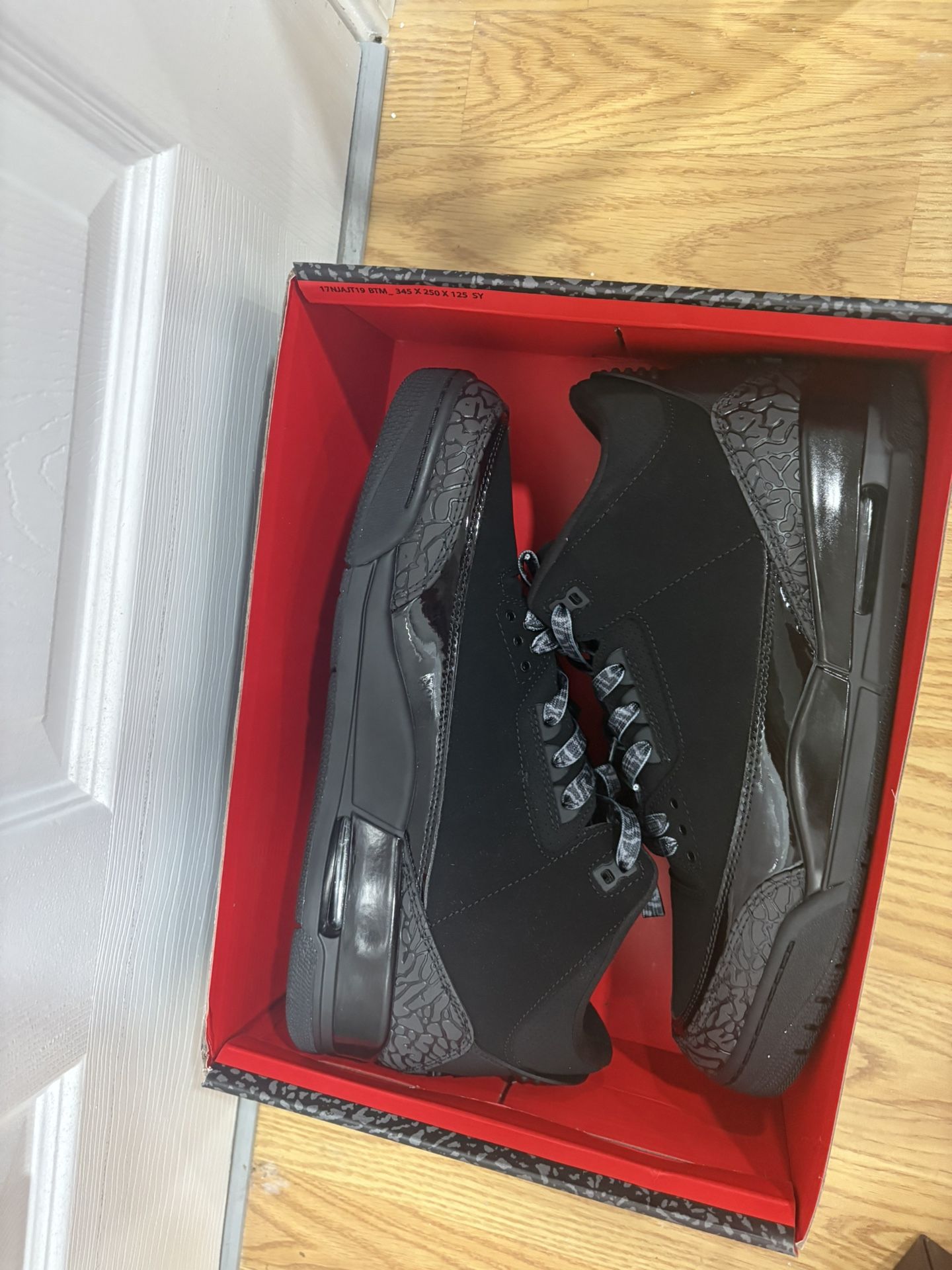 Jordan 3 Blackcat