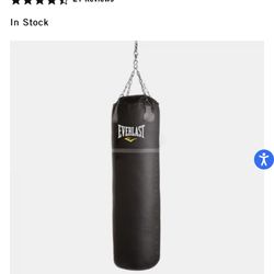 Everlast 70 Pound Full Size Punching Bag And Mount