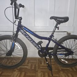 Schwinn Kid Bike