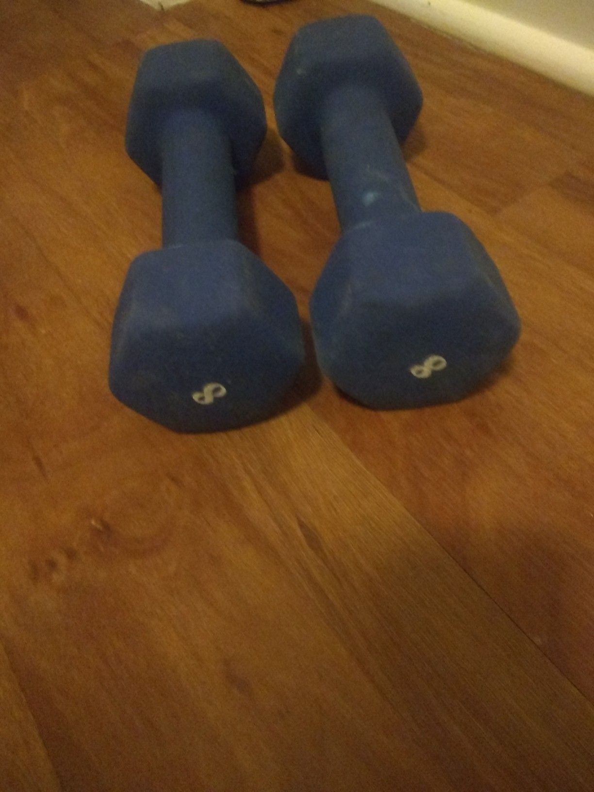 Weights dumb bells perfect for a lady..