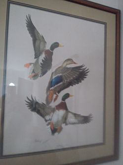 Framed artwork. original