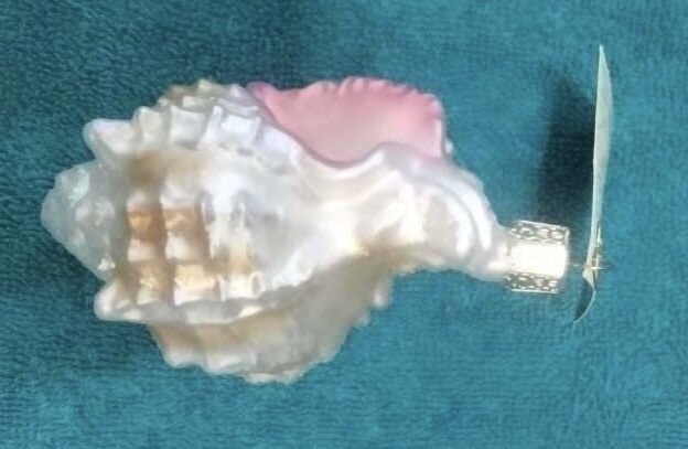 OLD WORLD XMAS CONCH SHELL ORNAMENT LIKE NEW W TAGS