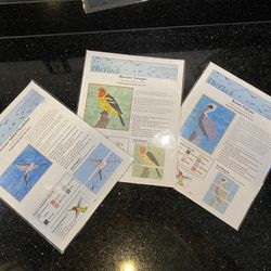 3 Hummingbird Patchwork Bird Quilt Block Kits  