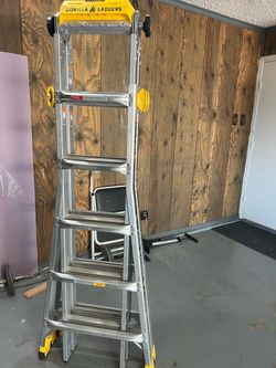 Gorilla 19’ Ladder