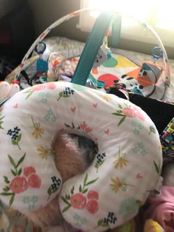 Boppy