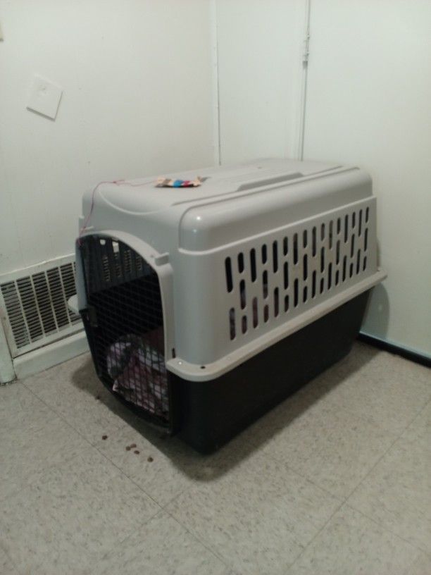 Dog Cage