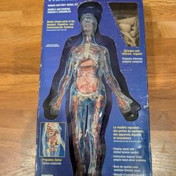 Lindberg Transparent Woman Science Kit
