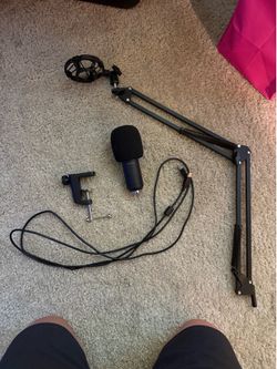 Microphone