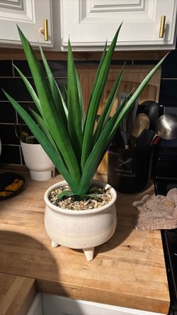 Fake Plant