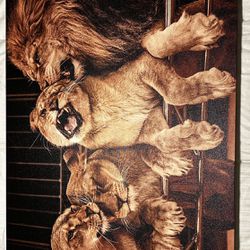 Lion Canvas 