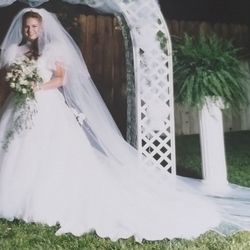 David's Bridal Wedding Dress 