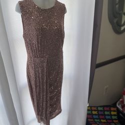 Dress- Elegant Pink Gold Dress Brand New