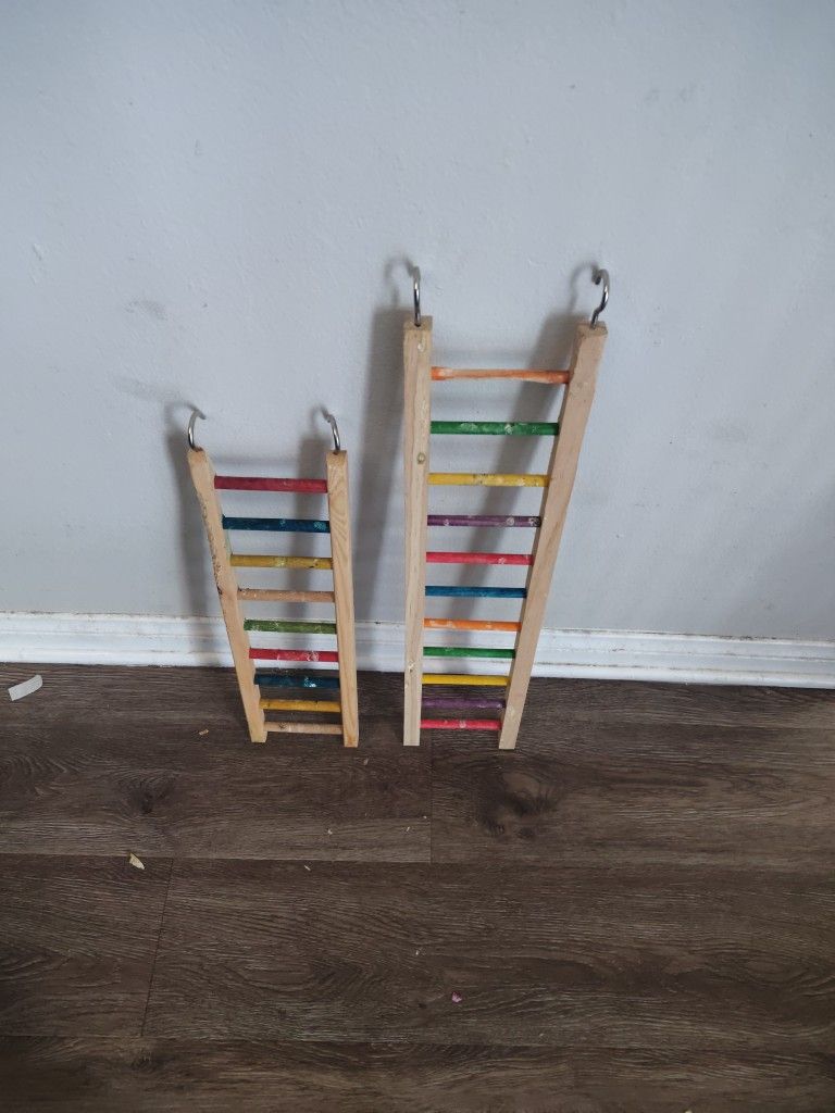 Bird Ladders