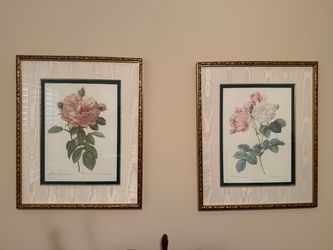 Set of 2 Large Framed Rose Prints – 28.5” x 23.5”