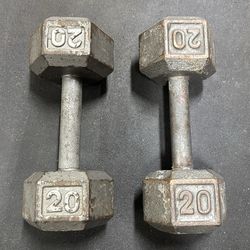 Pair of 20 lb dumbbells