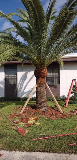 Tri Triming And Lawn C.u.t