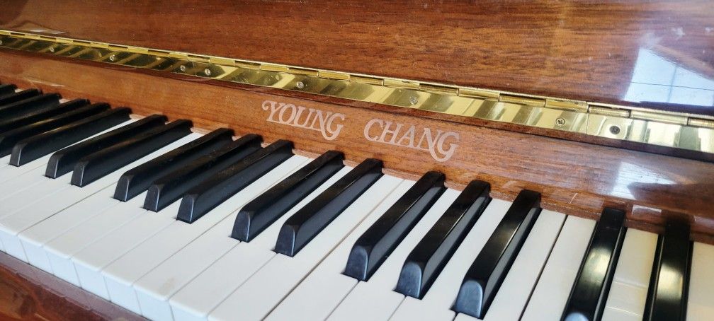 Young Chang Upright Piano In Mint Condition