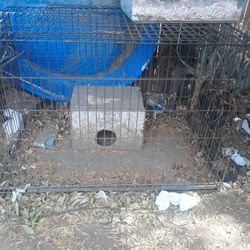 Large Cage
