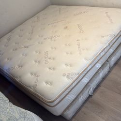 Organic cotton Cal King mattress and box spring 
