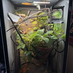 chameleon enclosure
