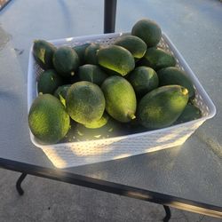 Organic Homegrown Avocados 12/$10