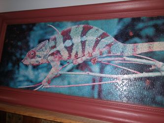 Chameleon art