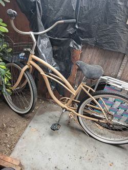 Beach cruiser