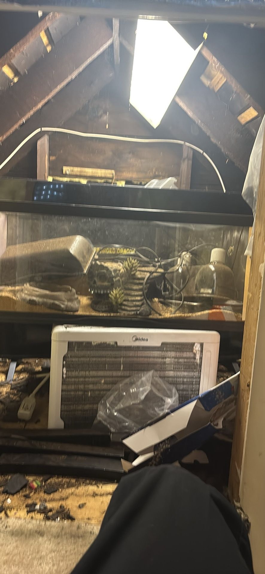 20 Gallon Reptile Enclosure.