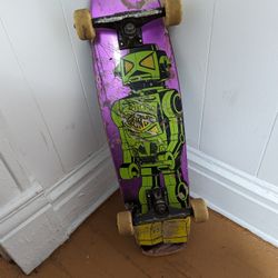 Cruiser Skateboard