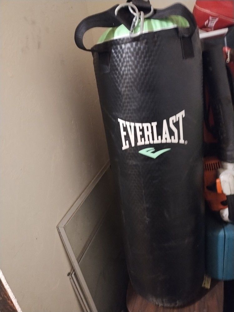 Everlast Punching Bag