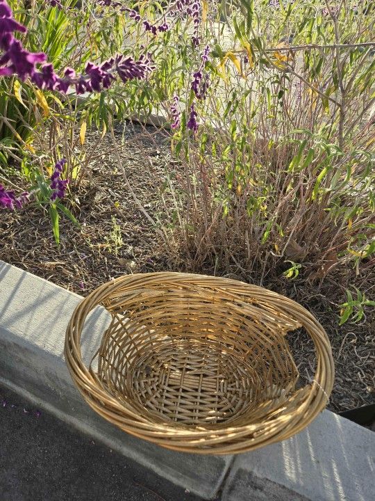Gold Metallic Basket